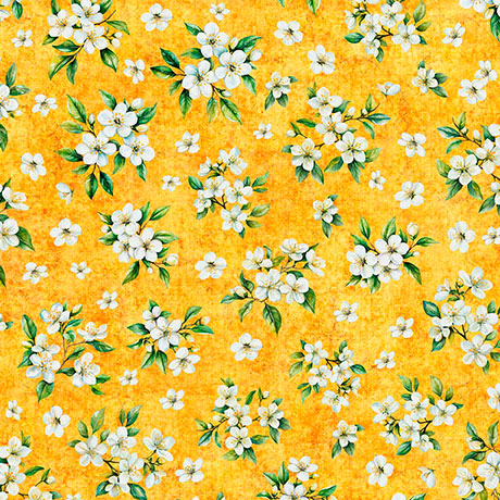 CITRUS BLISS             